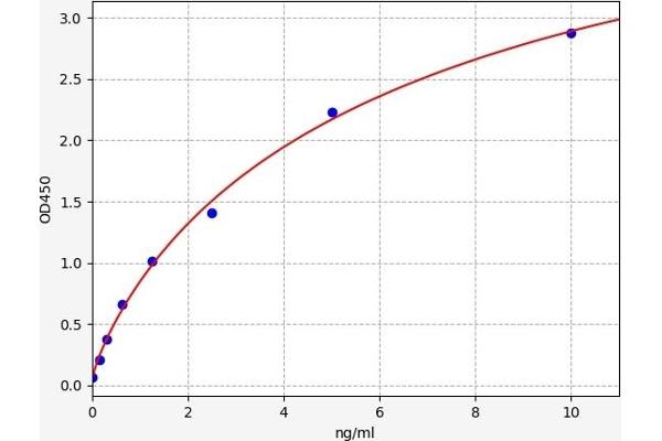 SLC25A4 ELISA 试剂盒