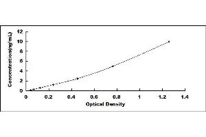Typical standard curve (SOCS3 ELISA 试剂盒)