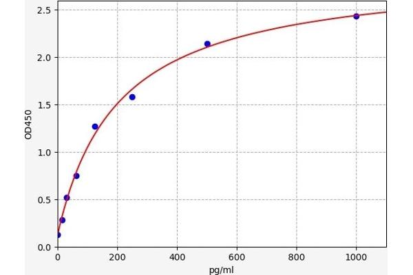 Presenilin 2 ELISA 试剂盒