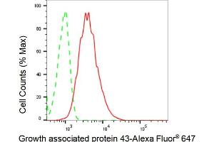 Flow cytometric analysis of Growth associated protein 43 expression in HAP-1 cells using Growth associated protein 43 antibody (ABIN7798804), 1:2,000). (Recombinant GAP43 抗体)