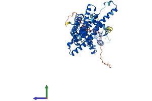Protein Structure (PS) image for protein ariadne-2 homolog (ARIH2) (AA 1-492) protein (His tag) (ABIN7556384)