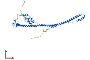 Protein Structure (PS) image for Tripartite Motif Containing 54 (TRIM54) (AA 1-358) protein (His tag) (ABIN7544626)