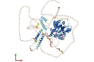 AlphaFold protein structure predicition of Mouse Recombinant Pde4a Protein, UniprotID O89084