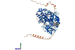 AlphaFold protein structure predicition of Mouse Recombinant Cdkal1 Protein, UniprotID Q91WE6 (CDKAL1 Protein (AA 1-578) (His tag))