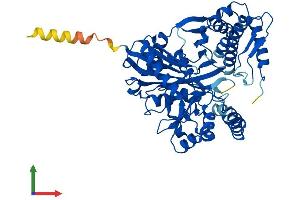 Protein Structure (PS) image for Glycerol Kinase 5 (Putative) (GK5) (AA 1-534) protein (His tag) (ABIN7558981)