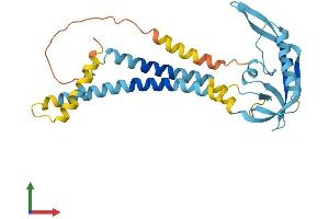 Protein Structure (PS) image for Potassium Large Conductance Calcium-Activated Channel, Subfamily M beta Member 3 (KCNMB3) (AA 1-279) protein (His tag) (ABIN7554231)