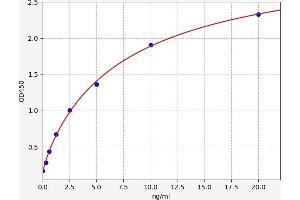 Carcinoembryonic Antigen Gene Family (CEA) ELISA Kit