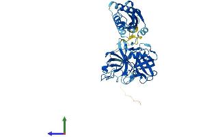 AlphaFold protein structure predicition of Human Recombinant TMPRSS11F Protein, UniprotID Q6ZWK6