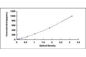 Typical standard curve (HMGB1 ELISA 试剂盒)