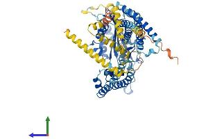 Protein Structure (PS) image for Polycystic Kidney Disease 2-Like 2 (PKD2L2) (AA 1-621) protein (His tag) (ABIN7561673)