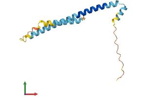 Protein Structure (PS) image for TSC22 Domain Family, Member 3 (TSC22D3) (AA 1-134) protein (His tag) (ABIN7544146)