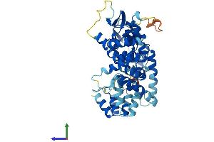 Protein Structure (PS) image for Ankyrin Repeat and BTB (POZ) Domain Containing 1 (ABTB1) (AA 1-478) protein (His tag) (ABIN7551799)