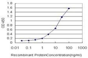 ELISA image for anti-Calcium/calmodulin-Dependent Protein Kinase II beta (CAMK2B) (AA 1-504) antibody (ABIN614553)