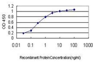 ELISA image for anti-Symplekin (SYMPK) (AA 1-533) antibody (ABIN563558)