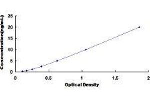 Typical standard curve (Fibrillin 1 ELISA 试剂盒)