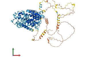 Protein Structure (PS) image for Solute Carrier Family 12 (Potassium/chloride Transporters), Member 8 (Slc12a8) (AA 1-705) protein (His tag) (ABIN7559944)
