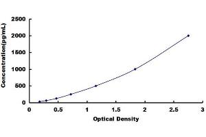 Brain-Derived Neurotrophic Factor (BDNF) ELISA Kit