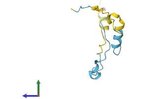 Protein Structure (PS) image for CDC42 Small Effector 2 (CDC42SE2) (AA 1-84) protein (Fc Tag) (ABIN7558557)