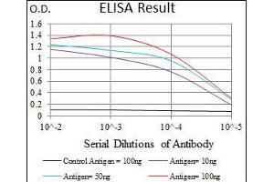 Black line: Control Antigen (100 ng), Purple line: Antigen(10 ng), Blue line: Antigen (50 ng), Red line: Antigen (100 ng), (HAS2 抗体  (AA 67-170))