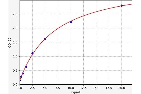 PHF1 ELISA 试剂盒