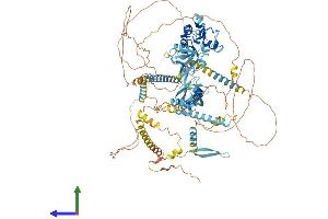 AlphaFold protein structure predicition of Human Recombinant PDZRN3 Protein, UniprotID Q9UPQ7