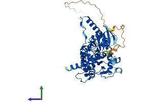 Protein Structure (PS) image for Fucosyltransferase 11 (Alpha (1,3) Fucosyltransferase) (FUT11) (AA 1-489) protein (His tag) (ABIN7558627)