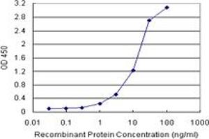 RCC1 (Human) Matched Antibody Pair