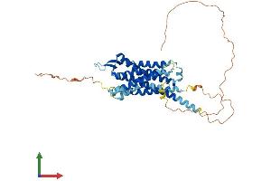 Protein Structure (PS) image for Arginine Vasopressin Receptor 1B (AVPR1B) (AA 1-424) protein (His tag) (ABIN7545012)