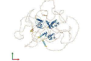 AlphaFold protein structure predicition of Mouse Recombinant Sash1 Protein, UniprotID P59808
