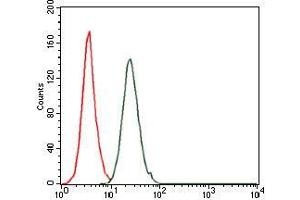 Flow cytometric analysis of HeLa cells using FOS mouse mAb (green) and negative control (red). (c-FOS 抗体)