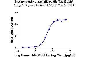 ELISA image for MHC Class I Polypeptide-Related Sequence A (MICA) (AA 24-308) protein (His-Avi Tag,Biotin) (ABIN7275256)