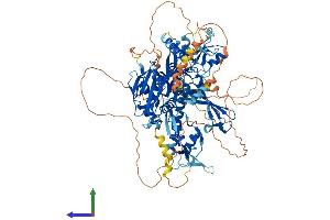 Protein Structure (PS) image for Ubiquitin Specific Peptidase 20 (USP20) (AA 1-914) protein (His tag) (ABIN7555907)