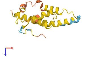 Protein Structure (PS) image for Torsin A Interacting Protein 2 (TOR1AIP2) (AA 1-131) protein (His tag) (ABIN7548545)