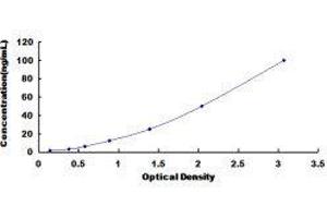 ELISA image for IgM ELISA Kit (ABIN414162)