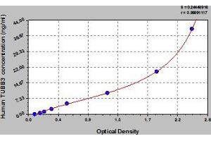 Typical Standard Curve (TUBB3 ELISA 试剂盒)