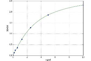 A typical standard curve (SCRG1 ELISA 试剂盒)
