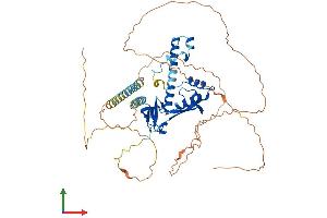 Protein Structure (PS) image for Cysteine-serine-Rich Nuclear Protein 2 (CSRNP2) (AA 1-543) protein (His tag) (ABIN7546773)