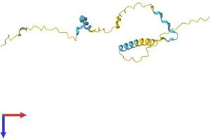 Proline Rich 13 Protein (PRR13) (AA 1-148) (His tag)