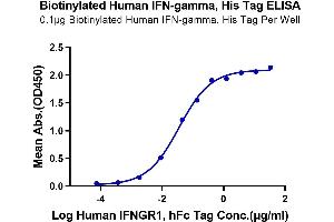ELISA image for Interferon gamma (IFNG) (AA 24-161) protein (His-Avi Tag,Biotin) (ABIN7274848)
