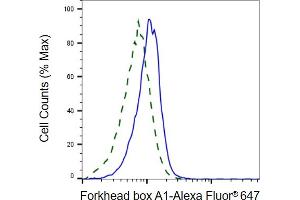 Validation of forkhead box A1 knockdown using flow cytometry.