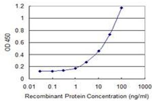 Detection limit for recombinant GST tagged PWP1 is 0. (PWP1 抗体  (AA 1-501))