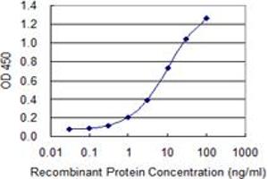 ELISA image for anti-Calcium Channel, Voltage-Dependent, alpha 2/delta Subunit 2 (CACNA2D2) (AA 65-162) antibody (ABIN522733)