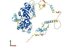 Protein Structure (PS) image for Ecdysoneless Homolog (ECD) (AA 1-644) protein (His tag) (ABIN7553759)