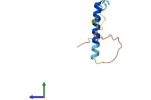 AlphaFold protein structure predicition of Human Recombinant NRGN Protein, UniprotID Q92686 (Neurogranin Protein (NRGN) (AA 1-78) (Fc Tag))