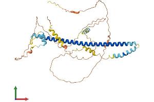 Protein Structure (PS) image for CAMP Responsive Element Binding Protein 3 (CREB3) (AA 1-404) protein (His tag) (ABIN7563930)