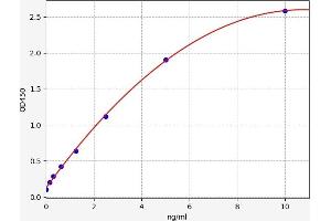 Typical standard curve (Beclin 1 ELISA 试剂盒)