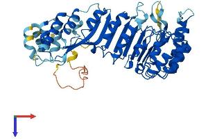AlphaFold protein structure predicition of Human Recombinant PRAMEF7 Protein, UniprotID Q5VXH5