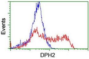 HEK293T cells transfected with either RC201382 overexpress plasmid (Red) or empty vector control plasmid (Blue) were immunostained by anti-DPH2 antibody (ABIN2455859), and then analyzed by flow cytometry. (DPH2 抗体)
