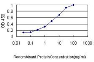 Detection limit for recombinant GST tagged AKAP12 is approximately 0. (AKAP12 抗体  (AA 1675-1782))