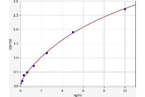 Typical standard curve (TNFRSF13C ELISA 试剂盒)